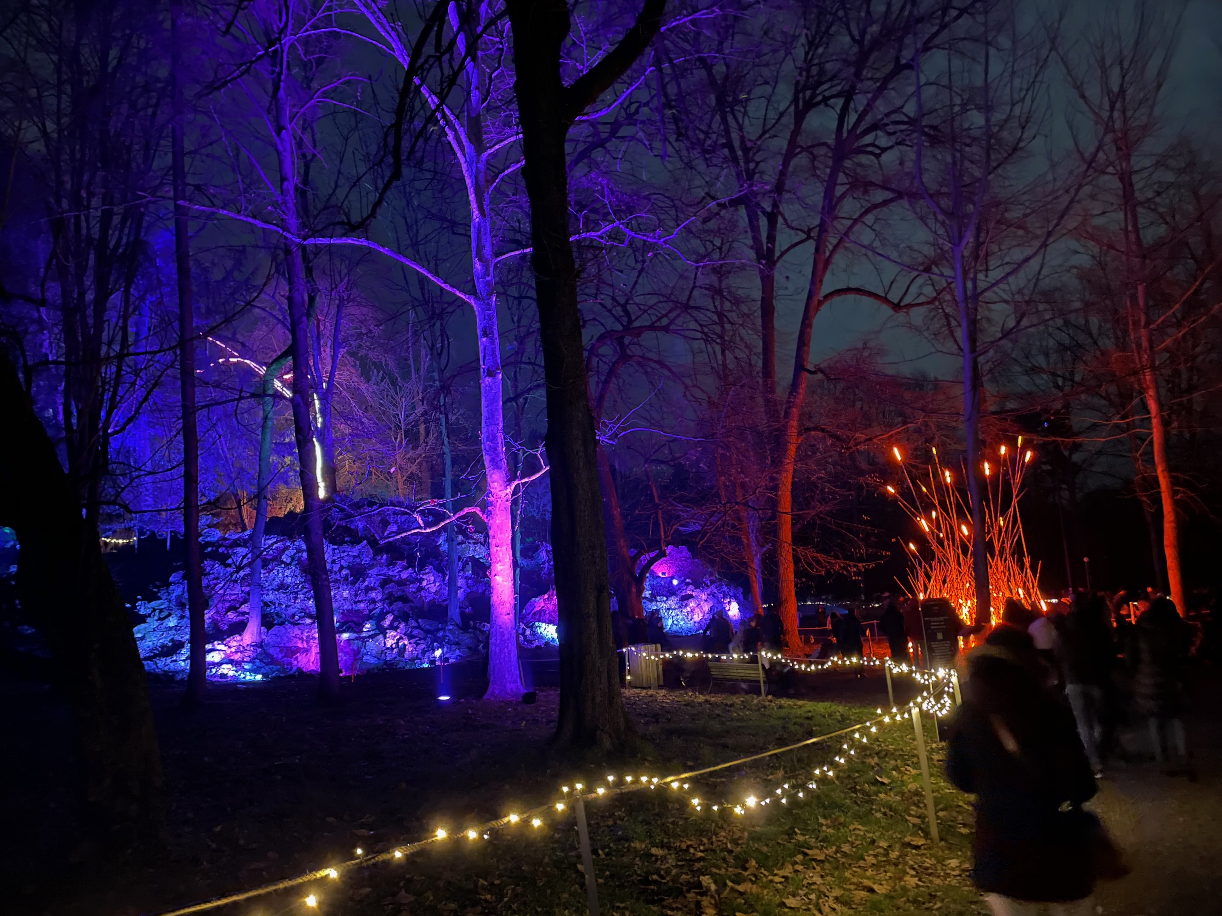 Un panorama da Trame di luce, al parco di Monza, ripreso al buio con iPhone 12